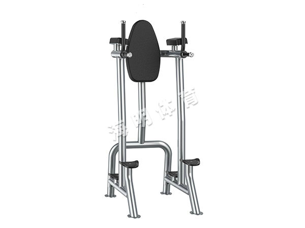 XS-7113-提膝練腹架